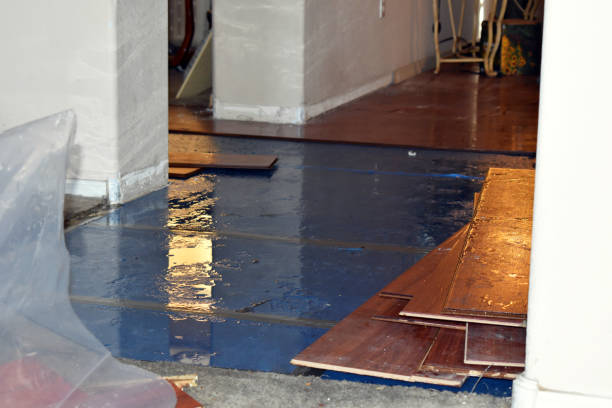 Professional Basement Flood Cleanup technician working in Clermont, GA